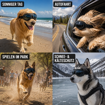 Hundeschutzbrille – Winddicht & mit UV-Schutz für kleine und mittelgroße Hunde
