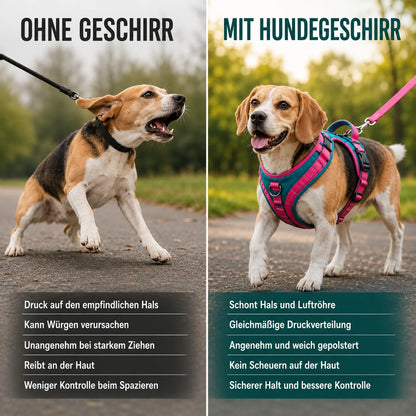 Anti-Zug Hundegeschirr mit Griff | Reflektierend & Verstellbar