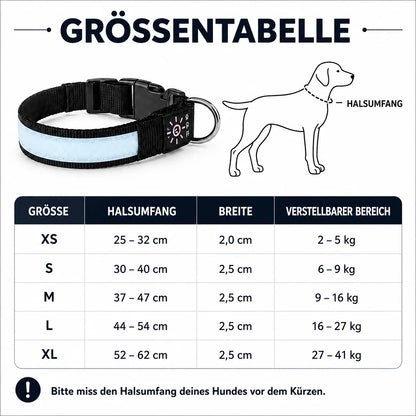 LED Hundehalsband USB Wiederaufladbar Leuchtend Verstellbar
