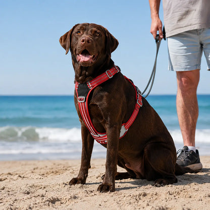 Hundegeschirr mit Griff & Reflektor | Verstellbares Hundegeschirr