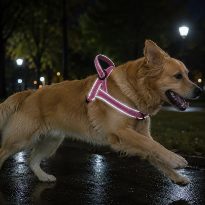 Anti-Zieh Hundegeschirr | Verstellbar, gepolstert & reflektierend
