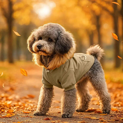 Warm dog jacket with hood | Comfortable & stylish for winter