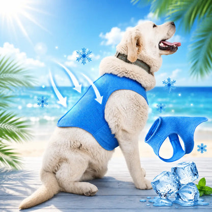 Kühlweste für Hunde & Katzen | Atmungsaktive Kühlweste für den Sommer