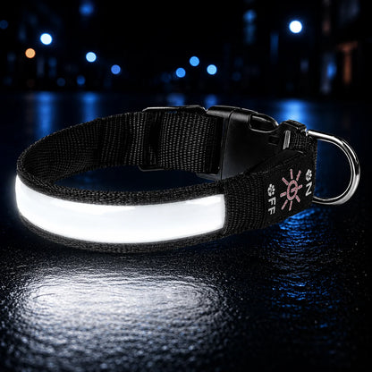LED Hundehalsband USB Wiederaufladbar Leuchtend Verstellbar