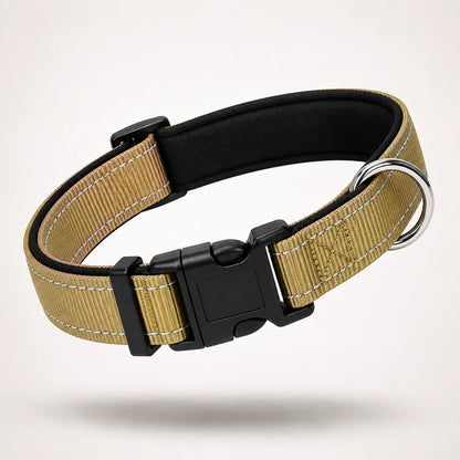 Reflektierendes Hundehalsband | Gepolstert, Verstellbar & Robust