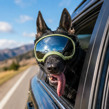 Schutzbrille mit UV Schutz | Winddicht & Verstellbar