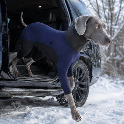 Fleece Hundepullover Winter | Warmer Rollkragen für kleine & große Hunde