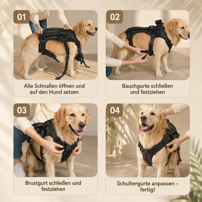 Hunde Tragerucksack – Verstellbare Hundetrage für kleine Hunde