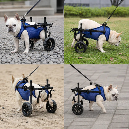 Lightweight Adjustable Dog Care Wheelchair | Stable & Comfortable