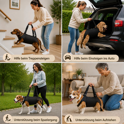 Hundetragehilfe bei Rückenproblemen | Hebegurt für kleine & mittlere Hunde