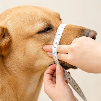 Hundemaulkorb Atmungsaktiv | Sicherer & Bequemer Maulkorb für Hunde
