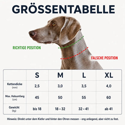 Anti-Zug Hundehalsband | Sanfte Kontrolle & Training