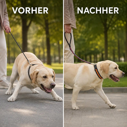 Anti-Zug Hundehalsband | Sanfte Kontrolle & Training