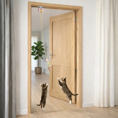Cat toy for door frames | Interactive cat play with feather