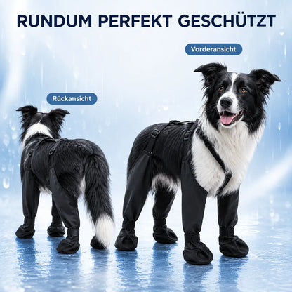 Hundeschuhe mit Beinriemen | Wasserdichte Pfotenschützer für Hunde