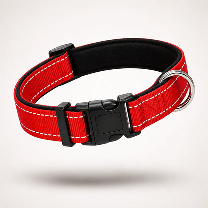 Reflektierendes Hundehalsband | Gepolstert, Verstellbar & Robust