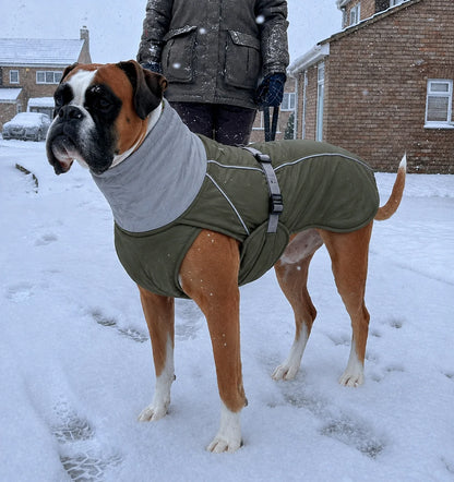 Winter Hundemantel | Wasserdichte Hundejacke mit Reflektoren