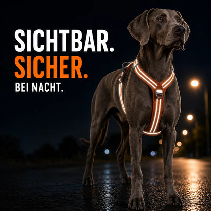 Hundegeschirr mit Griff & Reflektor | Verstellbares Hundegeschirr