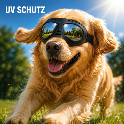 Hundeschutzbrille – Winddicht & mit UV-Schutz für kleine und mittelgroße Hunde
