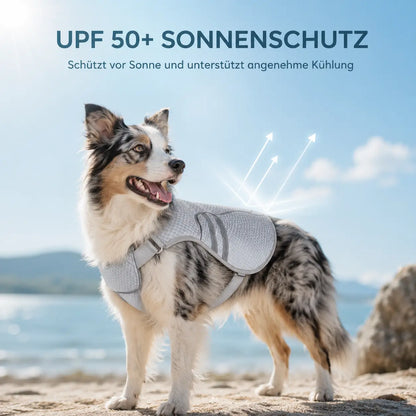 Hundekühlweste mit Verdunstungskühlung für warme Sommertage
