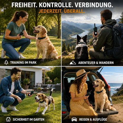 Anti-Bell Hunde Halsband mit Fernbedienung | Wasserdicht & USB