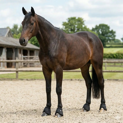 Pferde Hufglocken | Stoßschutz Bell Boots für Training & Reitsport