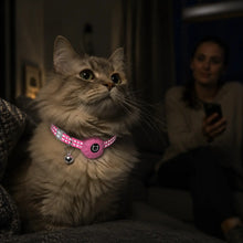 Katzenhalsband mit AirTag-Halter | Reflektierend & verstellbar