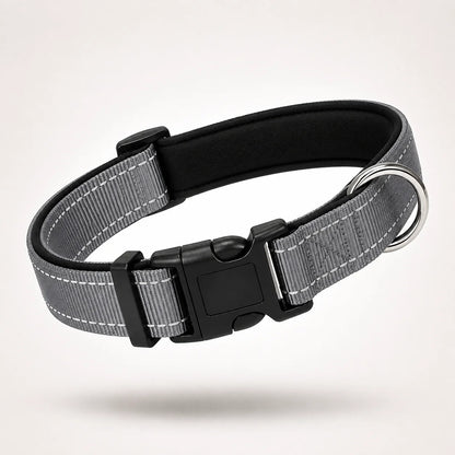 Reflektierendes Hundehalsband | Gepolstert, Verstellbar & Robust