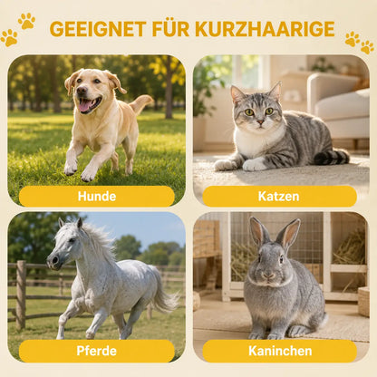 Hundebürste & Katzebürste| Fellbürste gegen lose Haare