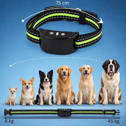 Collier anti-aboiement pour chiens sans électricité avec vibration
