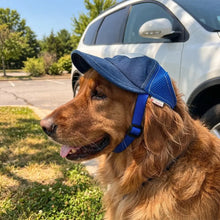 Dog Cap Sun Protection | Adjustable Dog Hat with Ear Holes