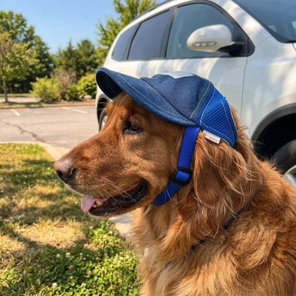 Dog Cap Sun Protection | Adjustable Dog Hat with Ear Holes