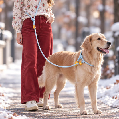 Hundeleine | Verstellbare Nylon Führleine für Winterspaziergänge