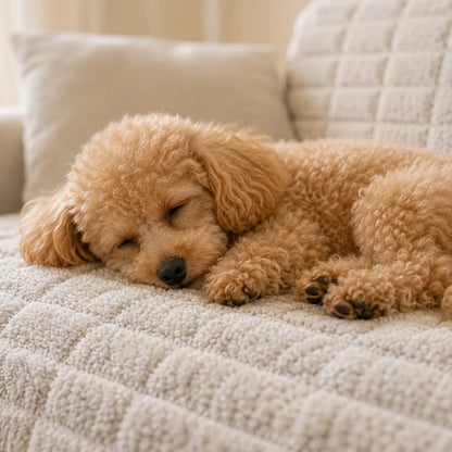 Hundebett Sofaschutz für Hunde | Weiche Flanell-Schondecke