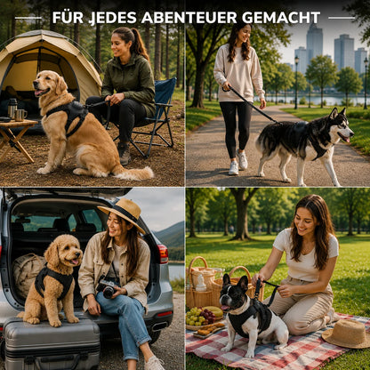 Hundegeschirr mit Automatikleine | Sicheres & Ausbruchsfreies Design