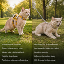 Bienen-Katzengeschirr mit Leine für Katzen & kleine Hunde
