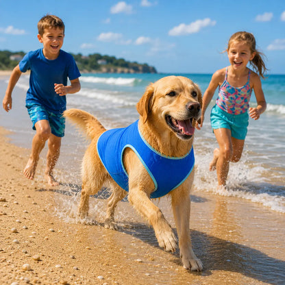 Kühlweste für Hunde & Katzen | Atmungsaktive Kühlweste für den Sommer