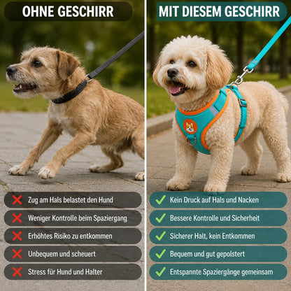 Hundegeschirr mit Leine | Reflektierendes No-Pull Brustgeschirr für Hunde