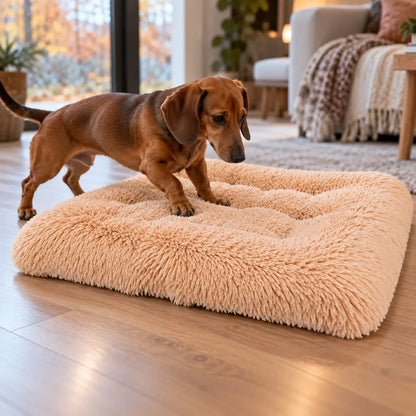 Waschbares Plüsch Hundebett | Warmes Hundebett für kalte Tage