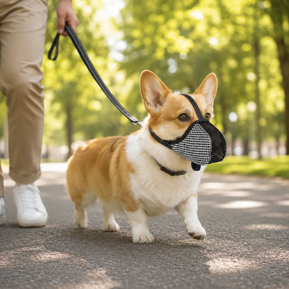 Maulkorb Hund für kleine & große Hunde | Atmungsaktives Mesh