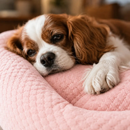 Hundebett Winter | Warmes Hundebett mit weicher Polsterung