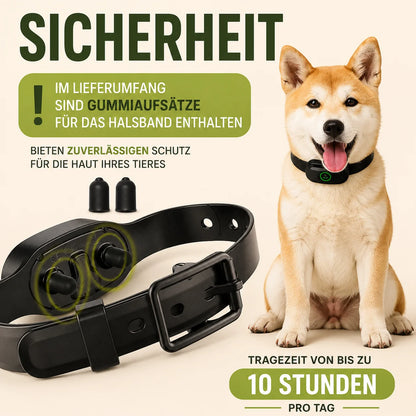 Anti-Bell Hunde Halsband mit Fernbedienung | Wasserdicht & USB