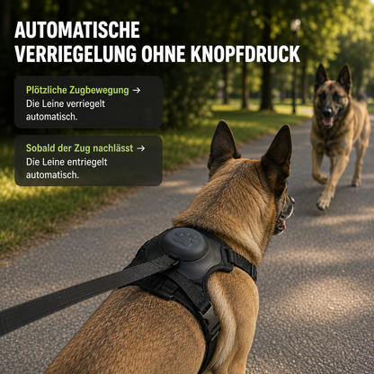 Hundegeschirr mit Automatikleine | Sicheres & Ausbruchsfreies Design