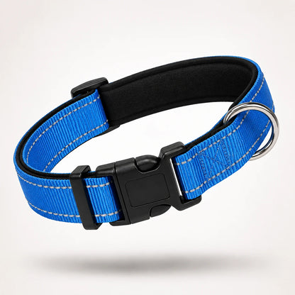 Reflektierendes Hundehalsband | Gepolstert, Verstellbar & Robust