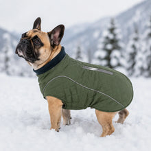 Gesteppte Hundeweste | Warm & Wasserabweisend