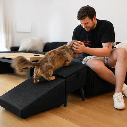 2-in-1 Hunderampe & Hocker | Faltbare Hundetreppe bis 50 kg
