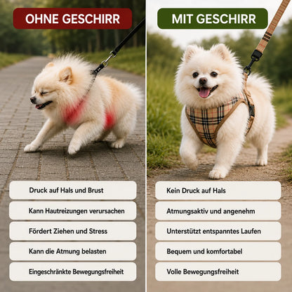 Kariertes Hundegeschirr mit Leine | Verstellbar, Gepolstert & Atmungsaktiv
