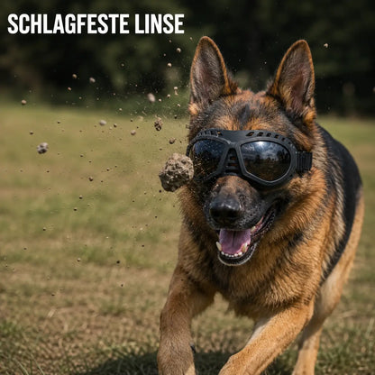 Hundeschutzbrille – Winddicht & mit UV-Schutz für kleine und mittelgroße Hunde