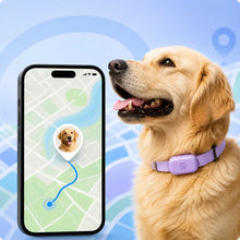 Traceur GPS pour chiens & chats avec localisation en temps réel