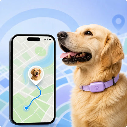 GPS Tracker for Dogs & Cats with Real-Time Location